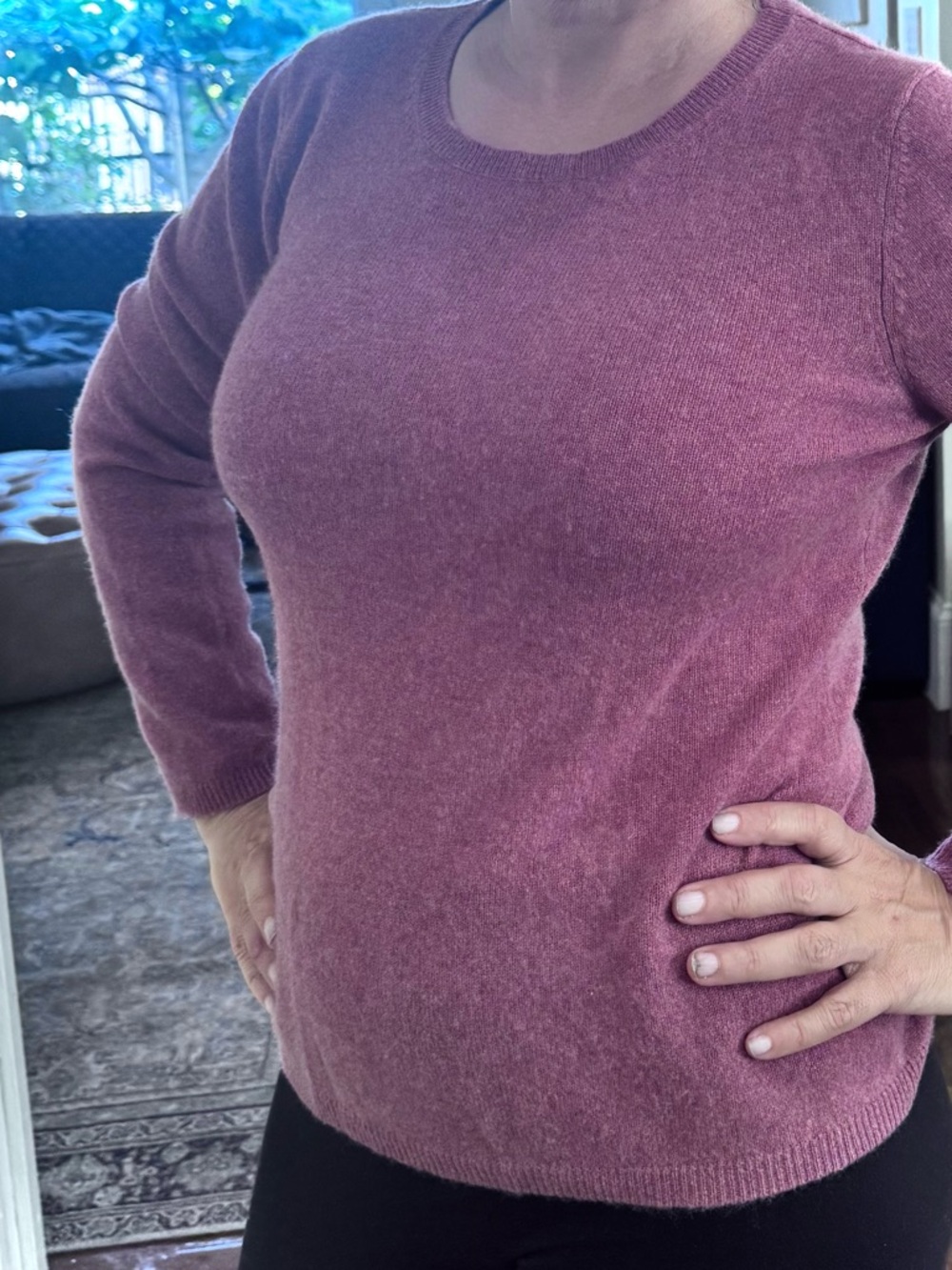 Cashmere Catherine Malandrino Rose Crewneck Sweater